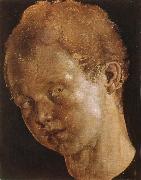 Albrecht Durer Head of a boy facing toward the left Sweden oil painting artist
